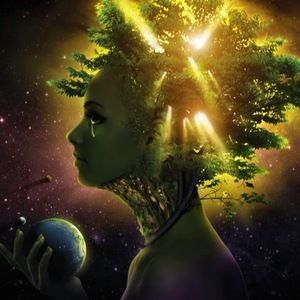 Meet your Posher, Born